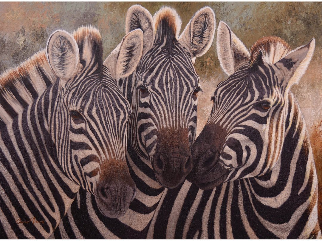 Marzé Botha Art Gallery-斯泰伦博斯必去景点