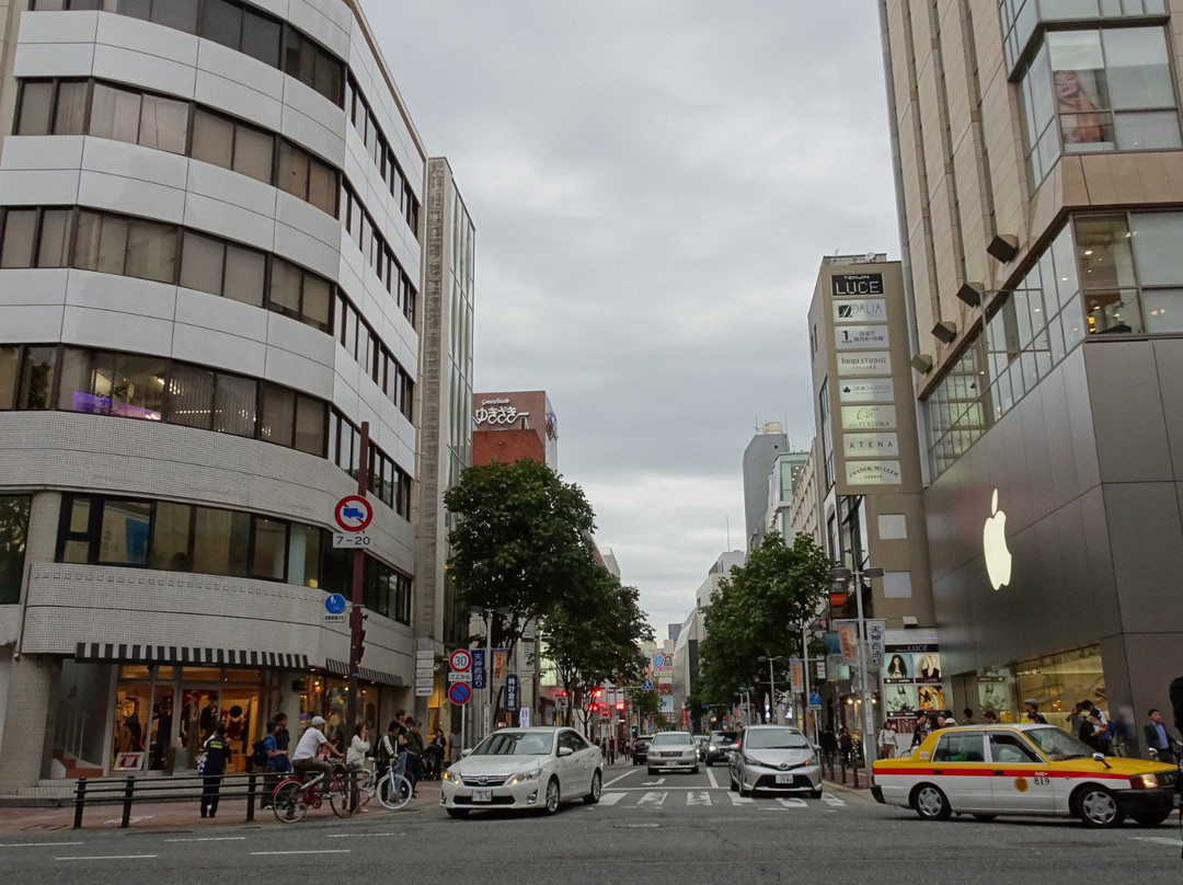 Tenjin Nishi Street景点图片