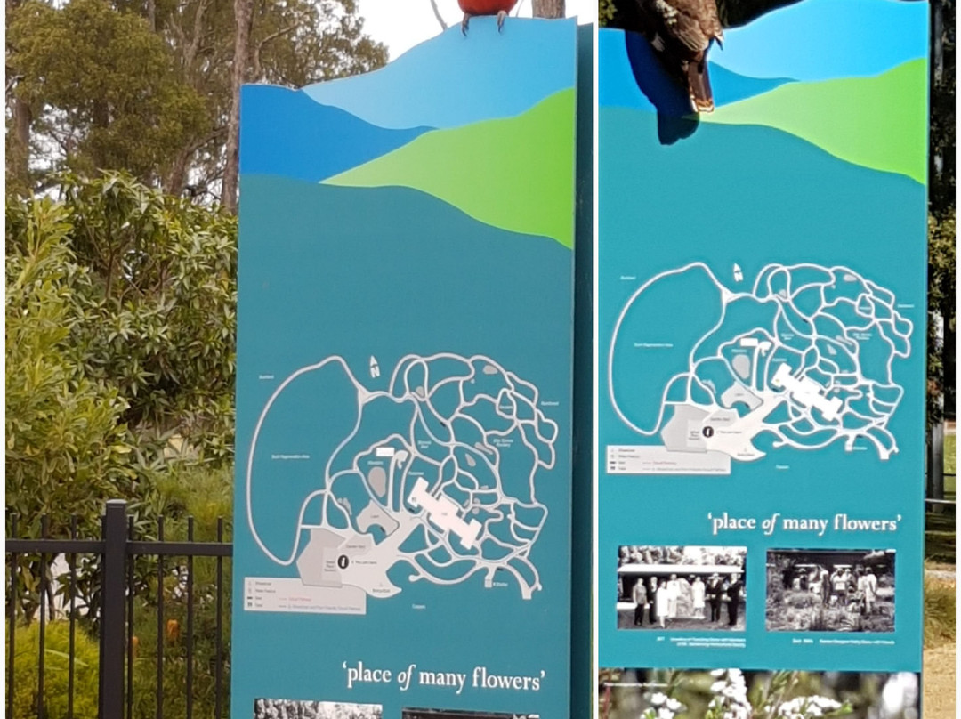 Karwarra Australian Plant Garden-Kalorama必去景点