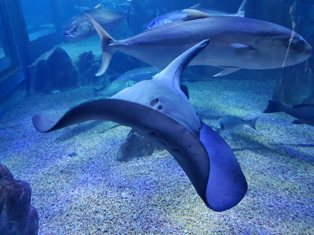 Acquario Cala Gonone