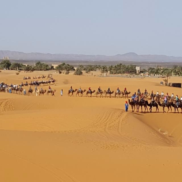 Morocco Everywhere Tours-非斯必去景点