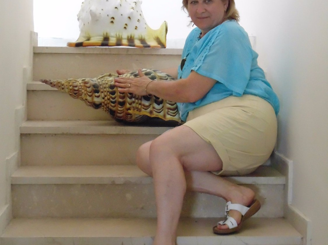 Corfu Shell Museum-科孚必去景点