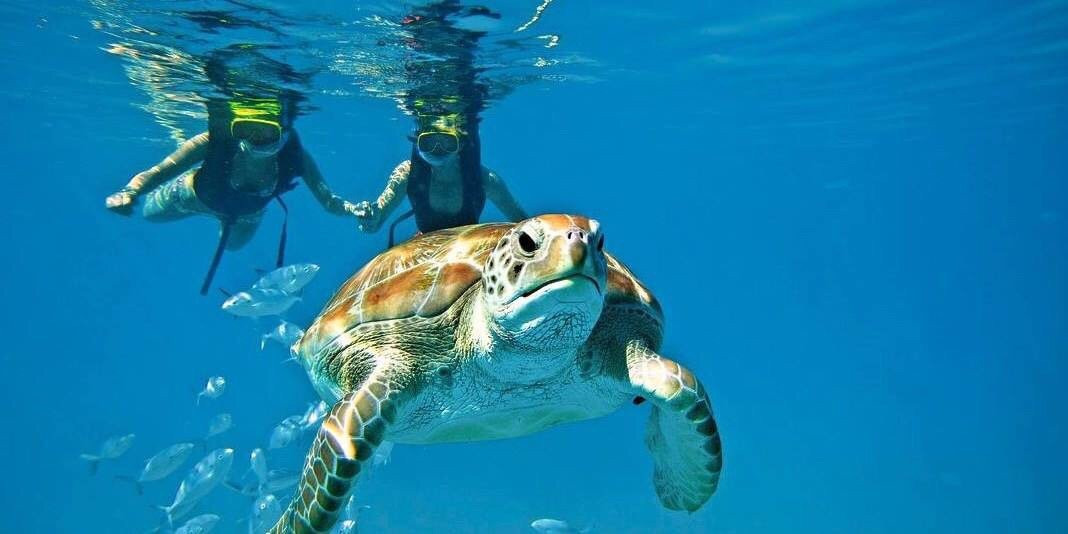 Maui Reef Adventures-毛伊岛必去景点