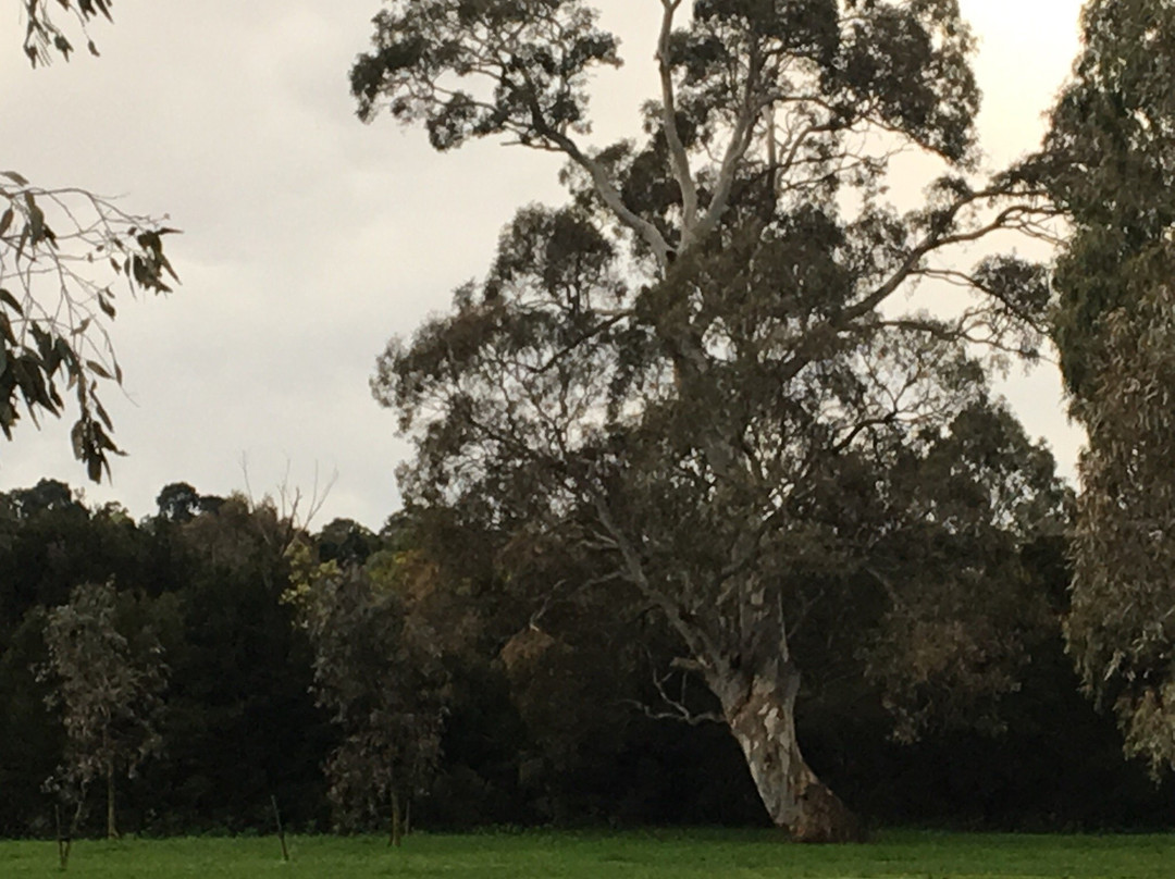 Gunns Road Reserve-Endeavour Hills必去景点