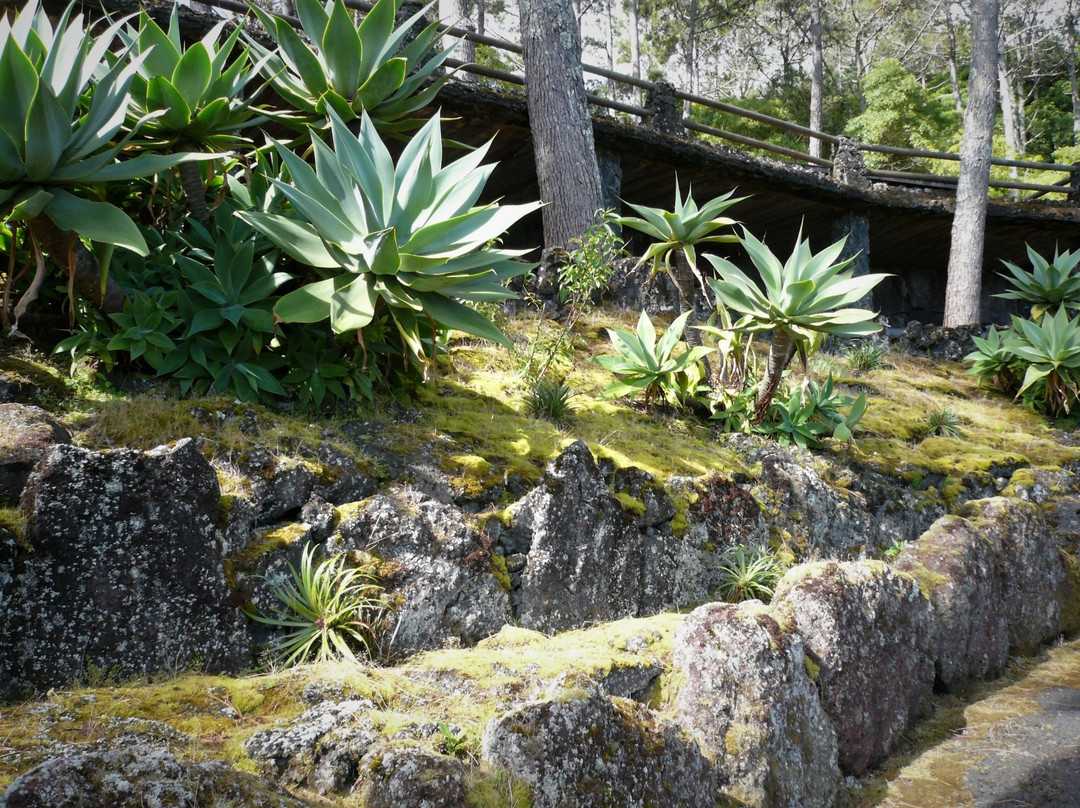 Reserva Florestal de Recreio da Prainha-Sao Roque do Pico必去景点