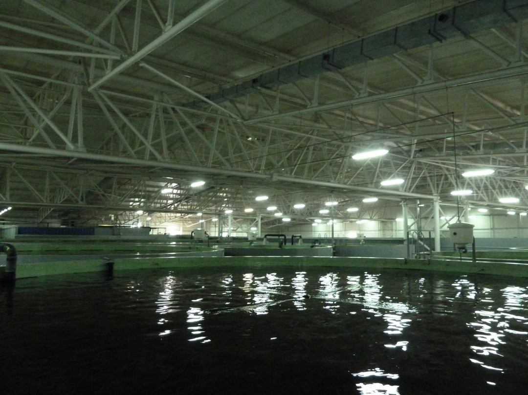 Tiraspolul Nou旅游攻略图片