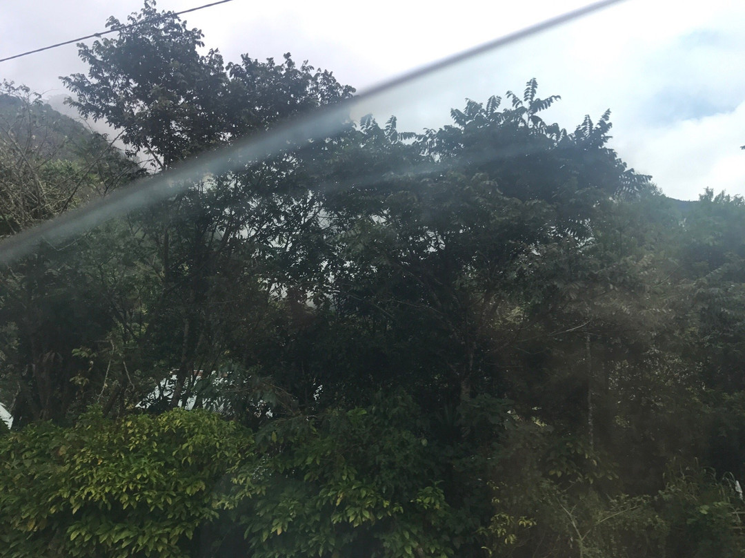 Isla las Turunas-拉梅尔塞必去景点