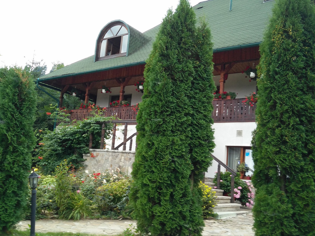 Conacul Domnitei主图