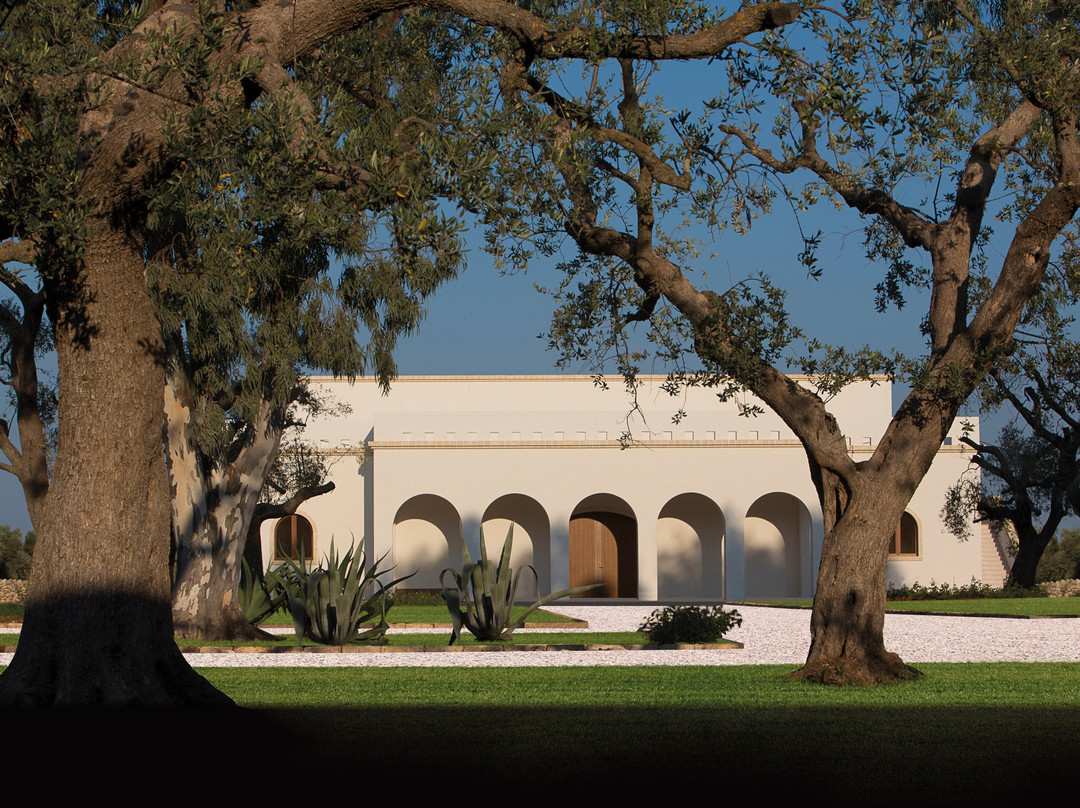 Masseria Altemura景点图片