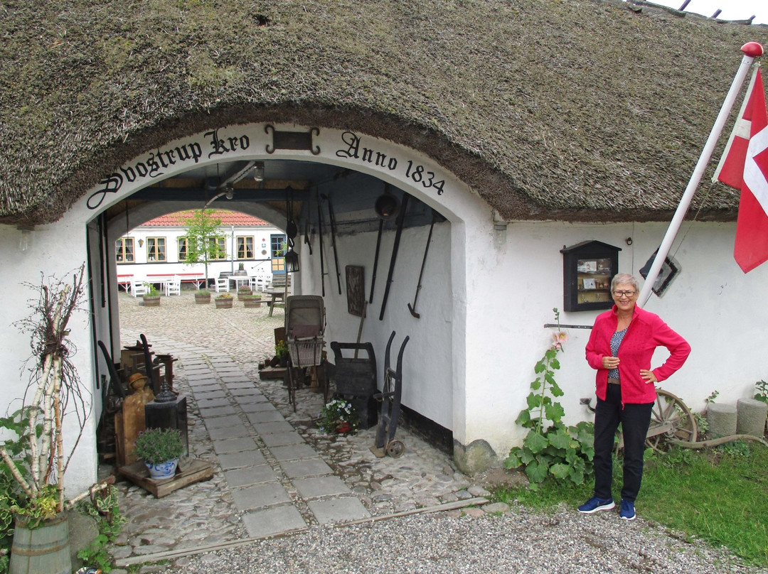 Hotel Svostrup Kro主图