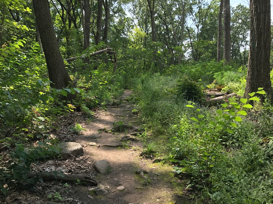 Kettle Moraine State Forest Northern Unit景点图片