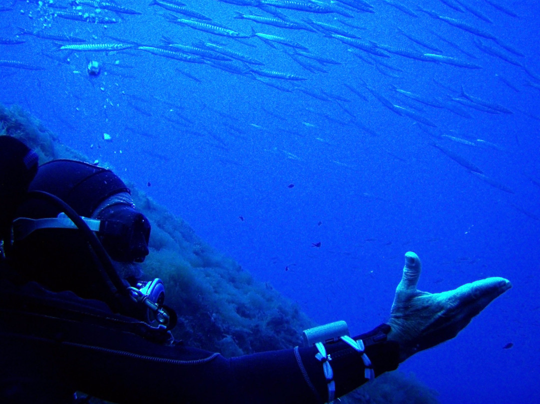 Linosa Blu Diving景点图片