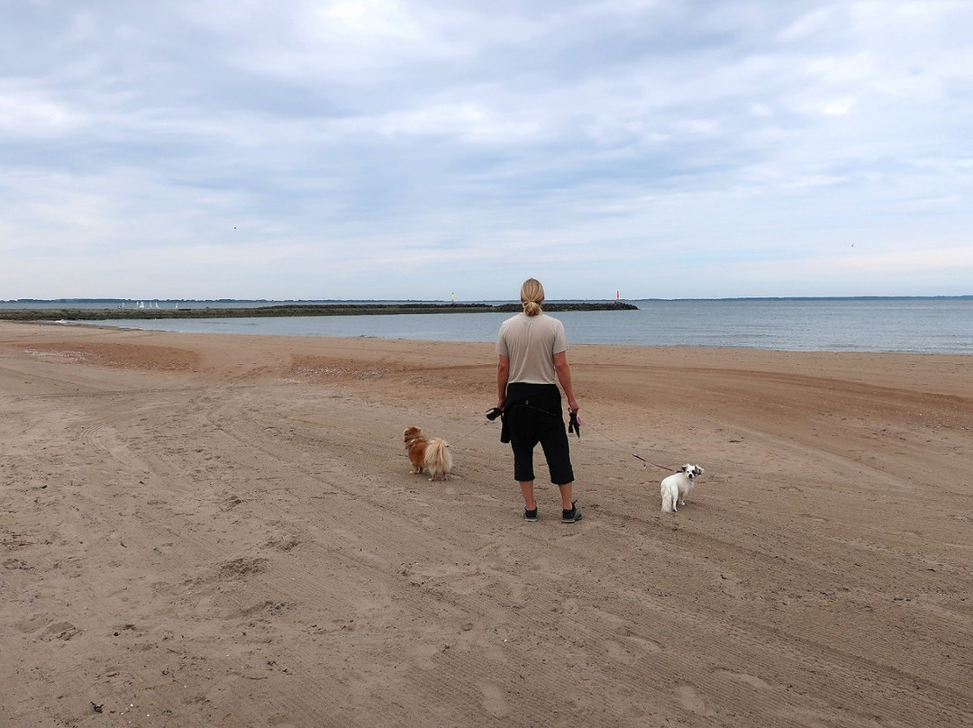 Dog Beach-Ängelholm必去景点