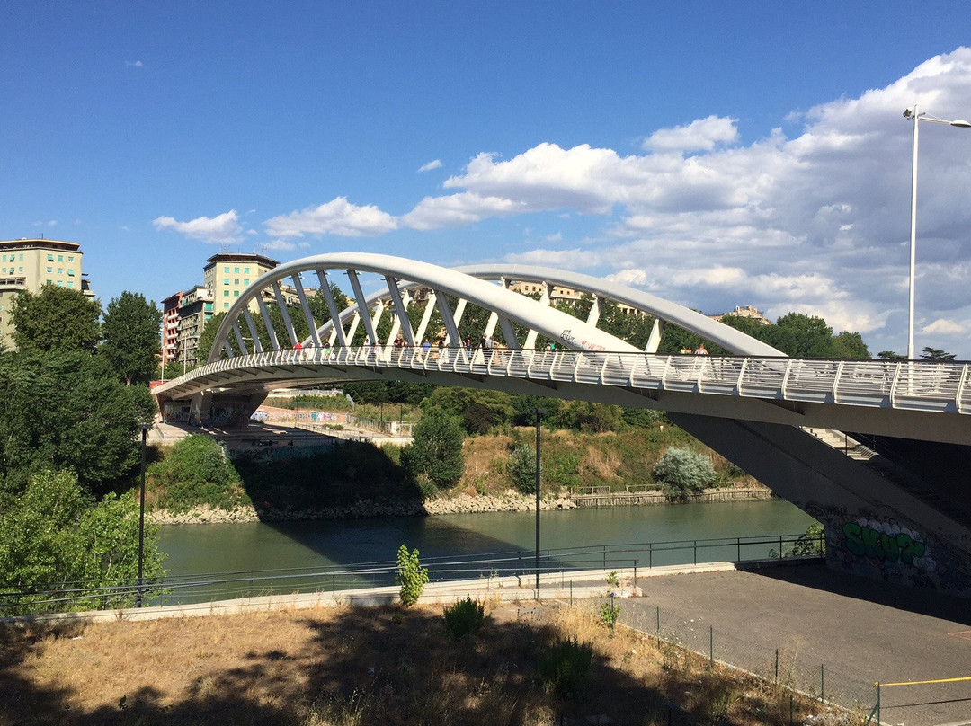 Ponte della Musica景点图片