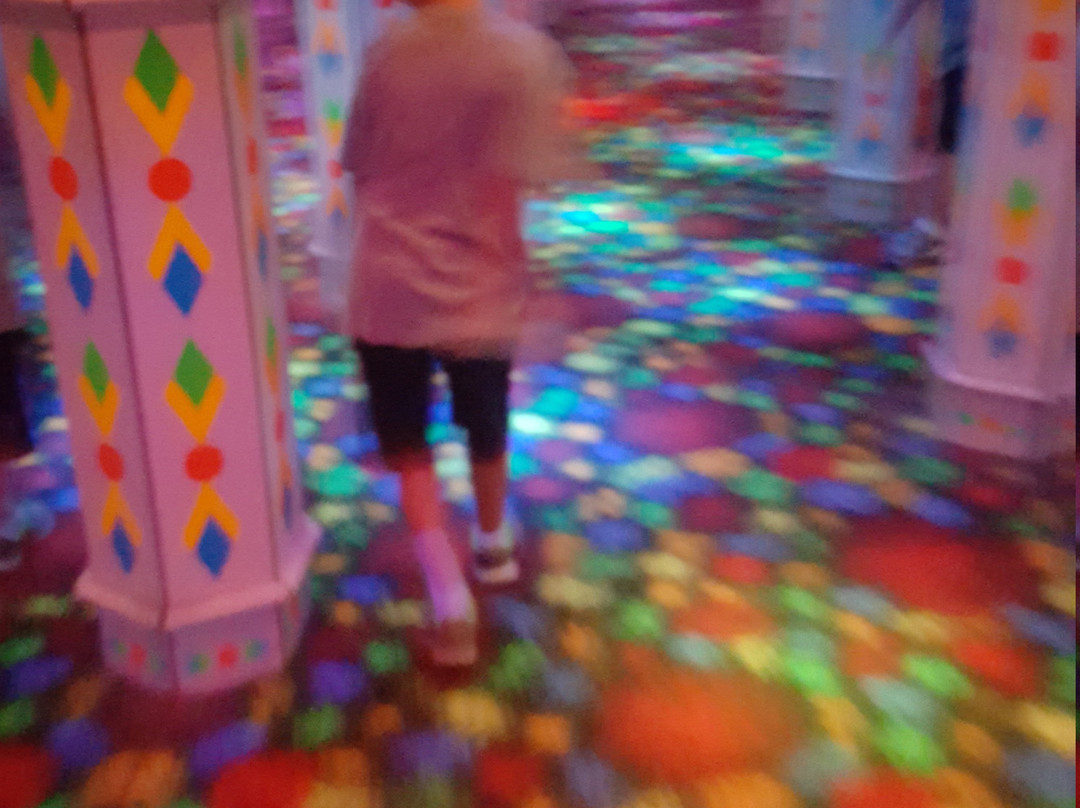 Amazing Mirror Maze-布卢明顿必去景点