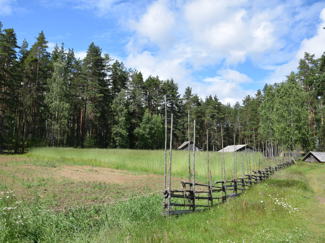 Liesjärven Kansallispuisto-Liesjarvi必去景点