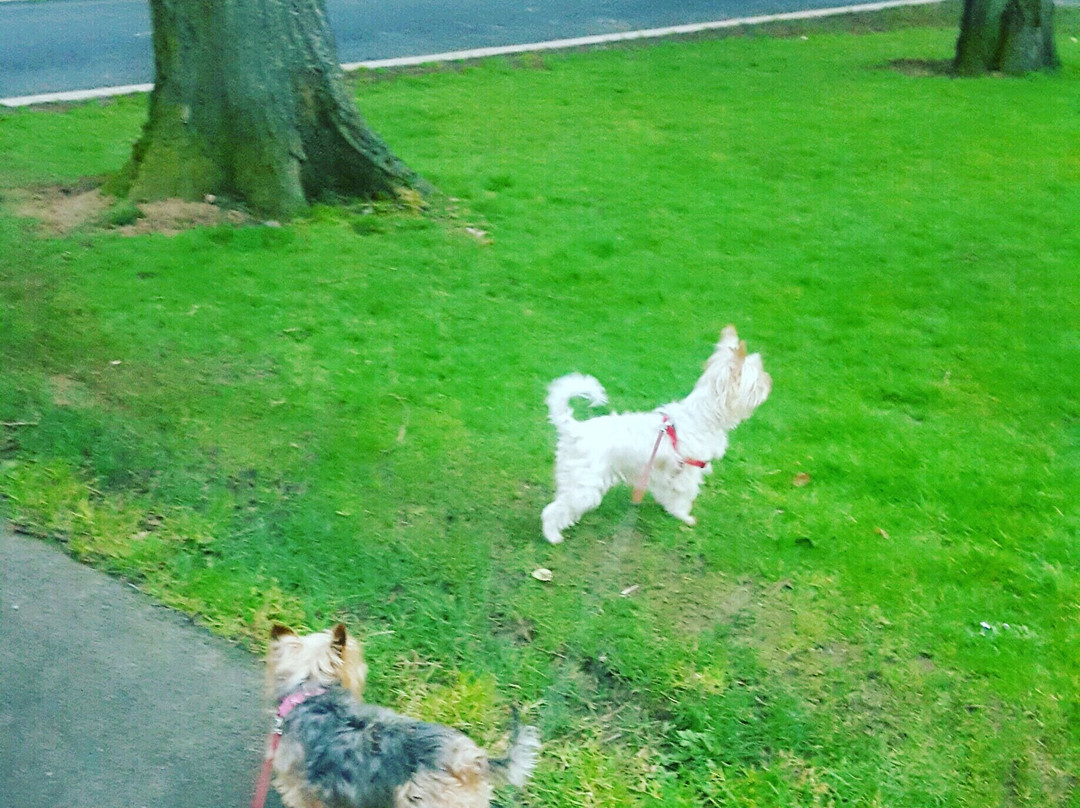 Brooke Park-德里必去景点