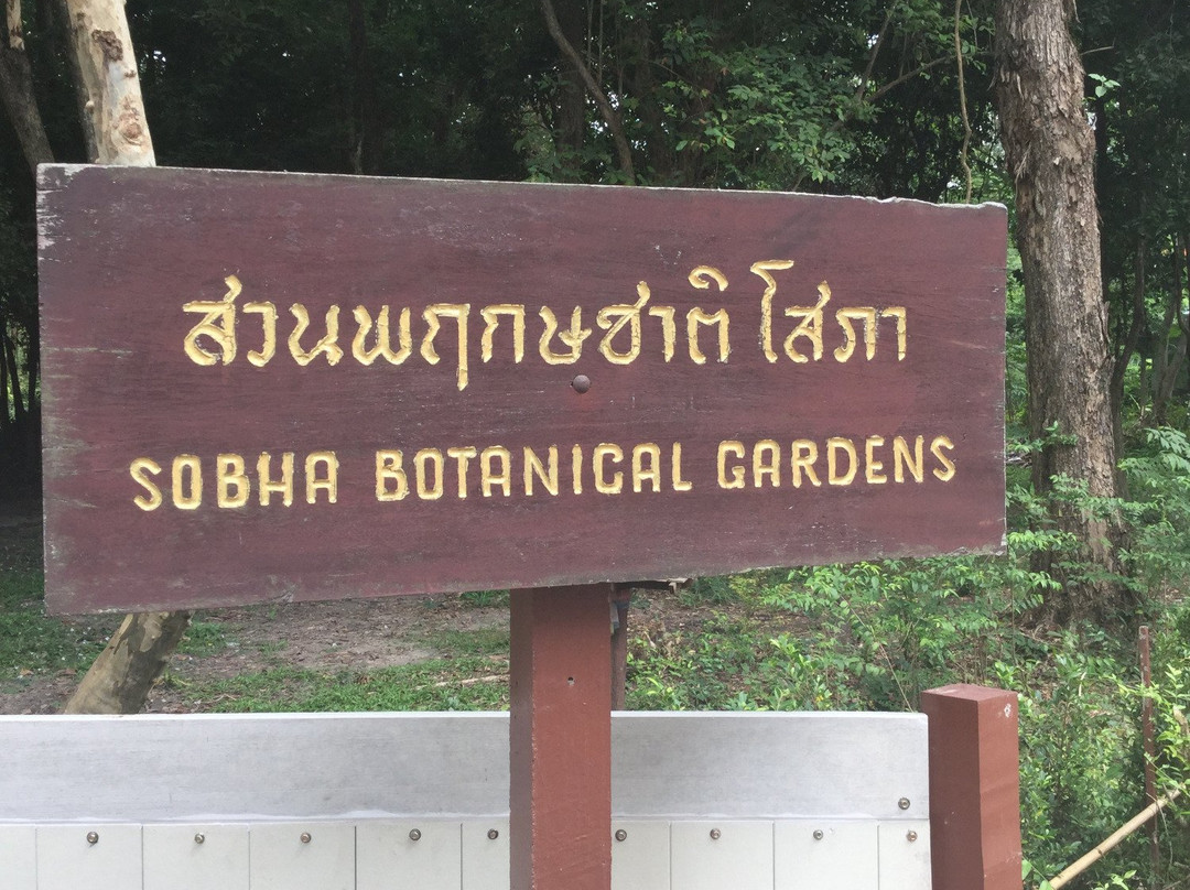 The Sopha Arboretum-Phe必去景点