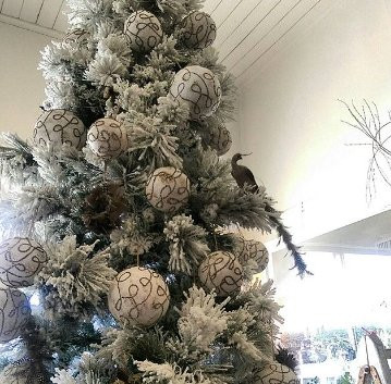 Flowers In A Vase-Woodend必去景点