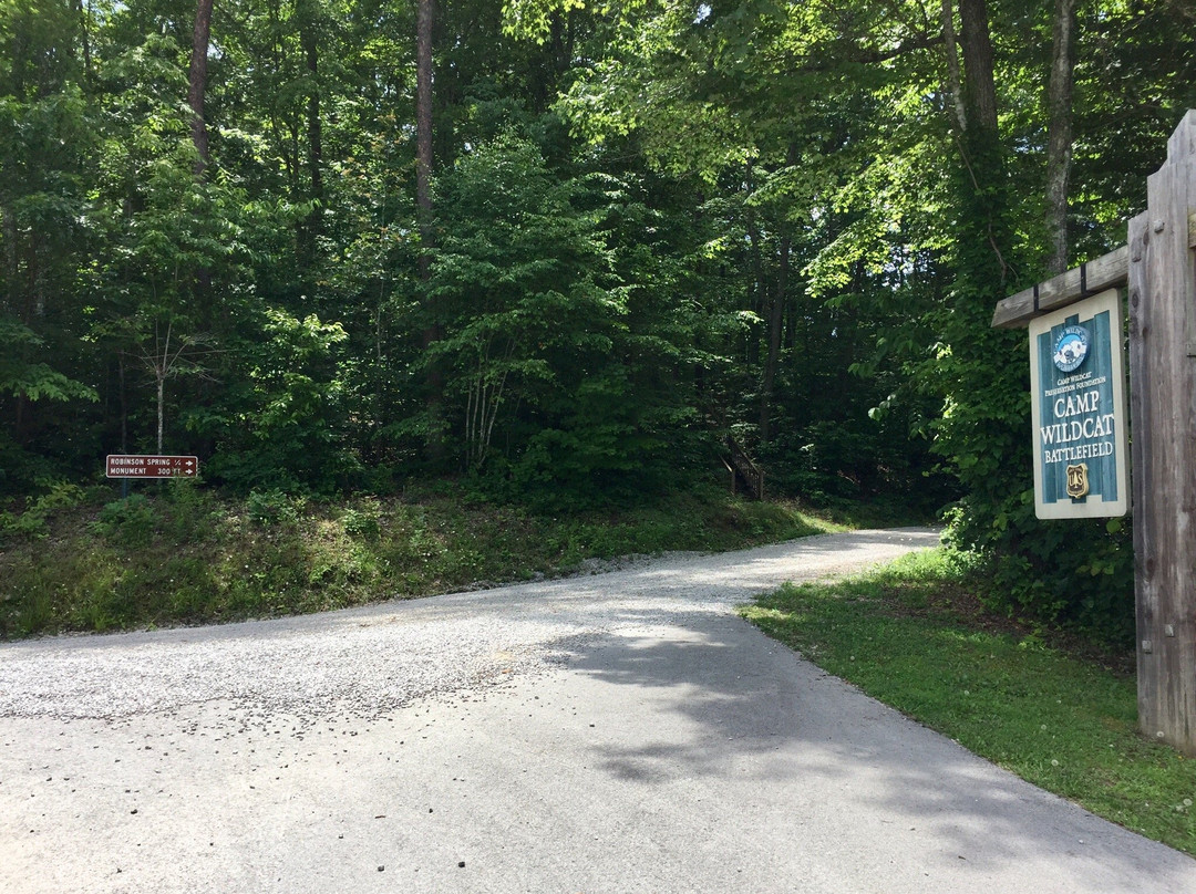 Camp Wildcat Battlefield-London必去景点