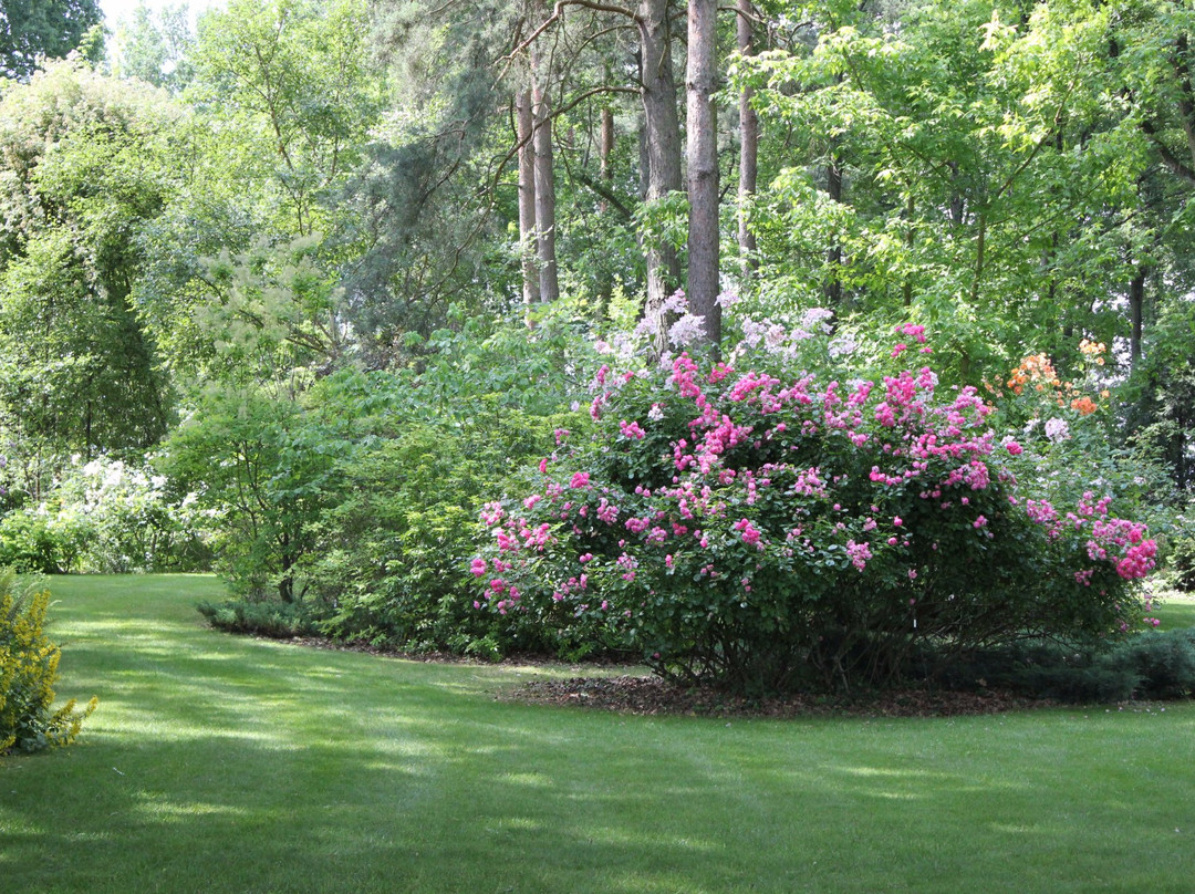 Parc du Manoir de la Javelière景点图片