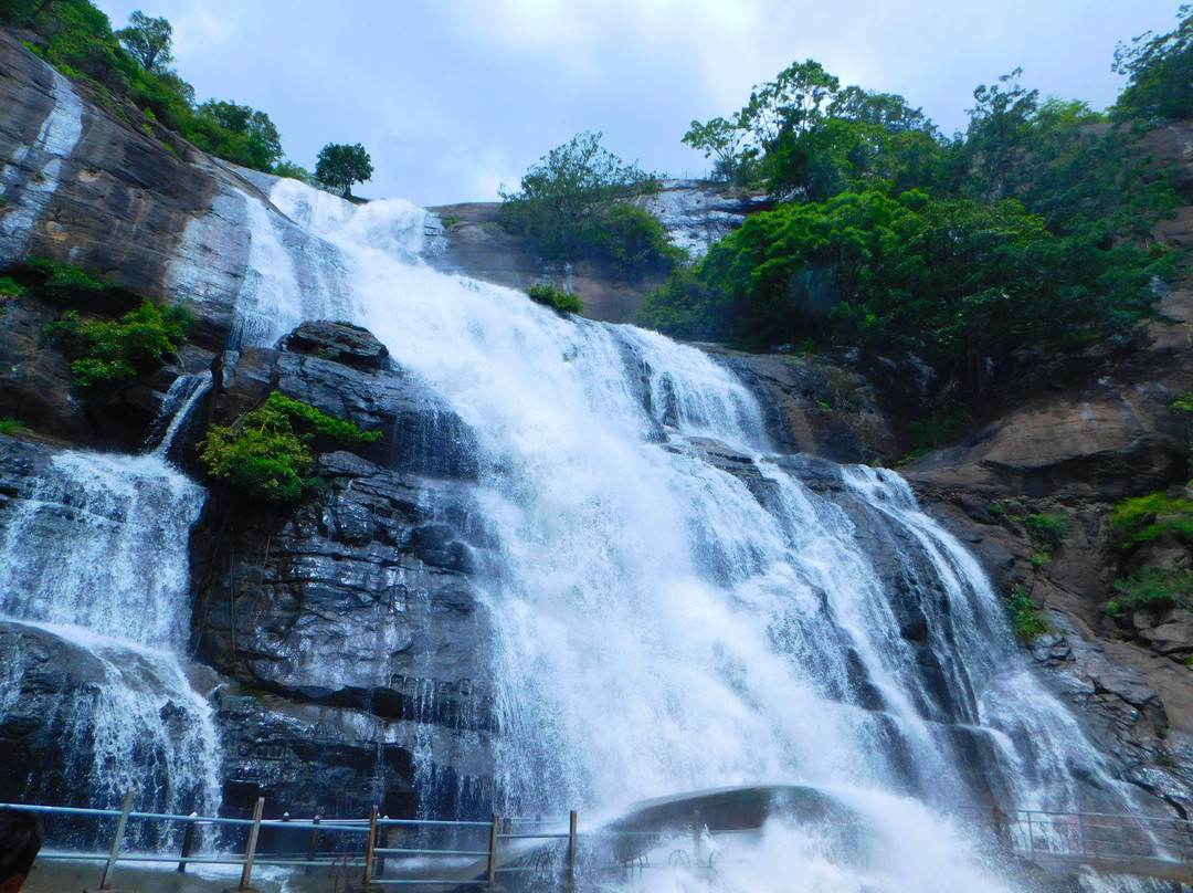 Main Falls ( Peraruvi ) Courtallam景点图片
