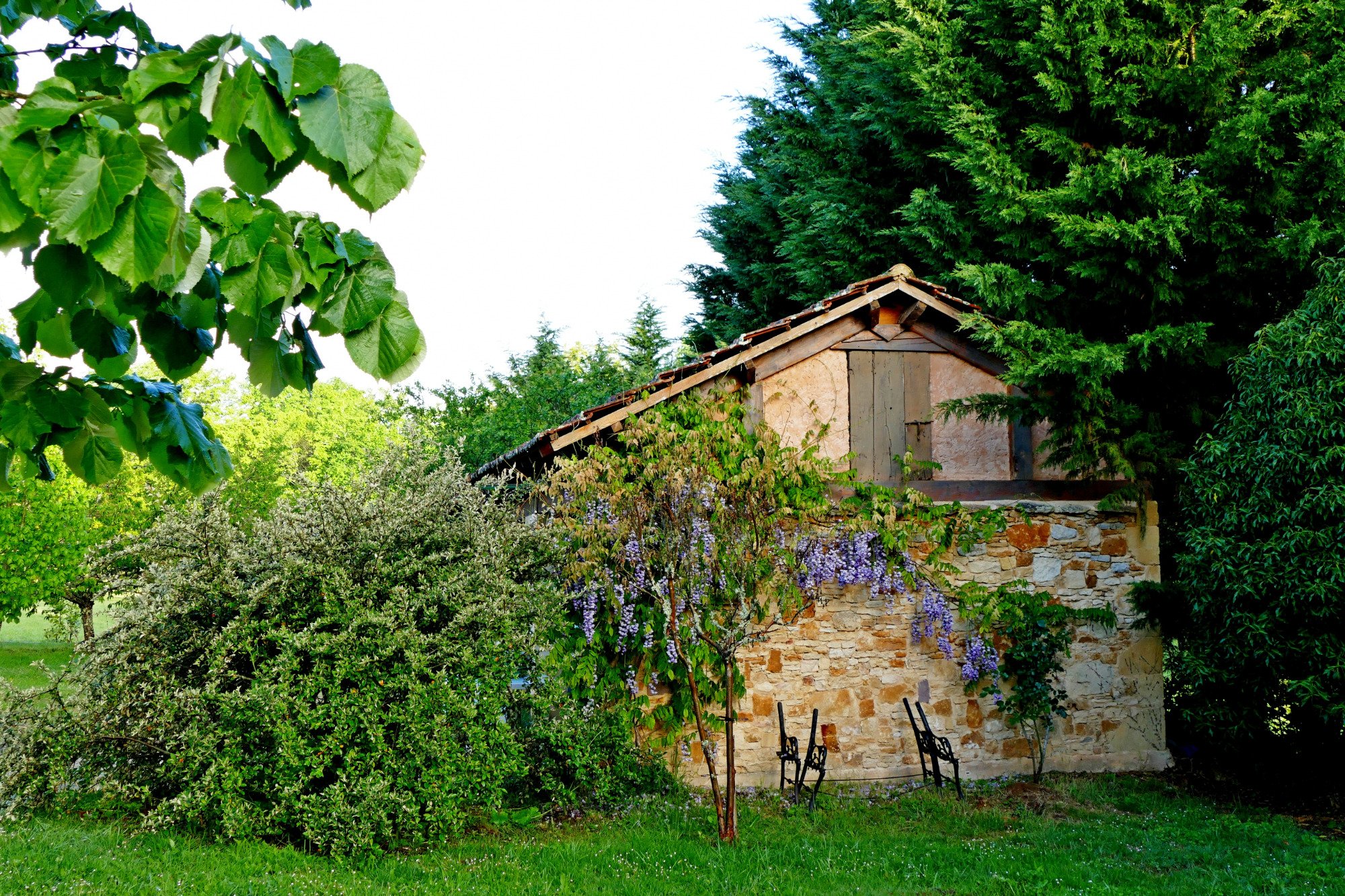 Le Clos de Carmensac-酒店景观