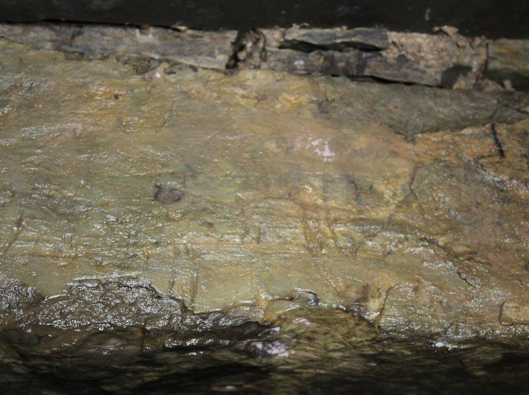 Banks Chambered Tomb-South Ronaldsay必去景点