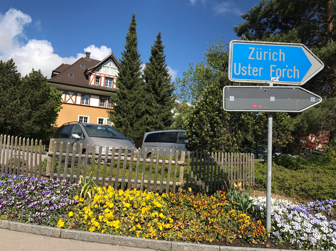 Forch旅游攻略图片