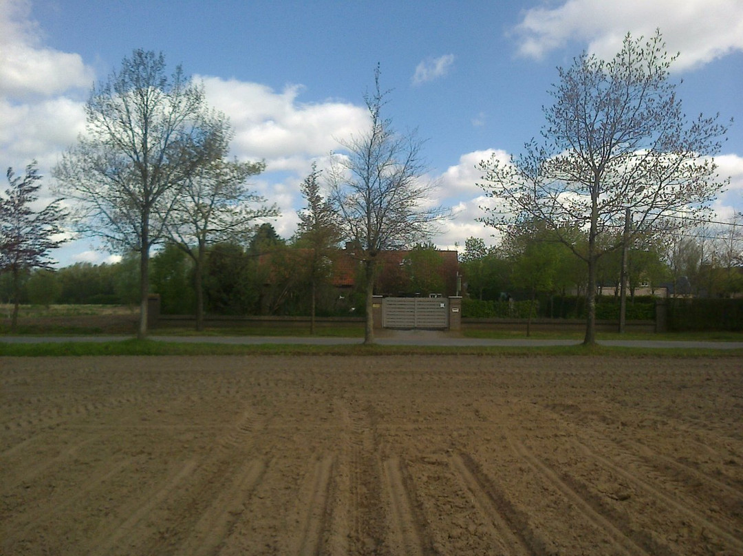 De Liedjestoren主图