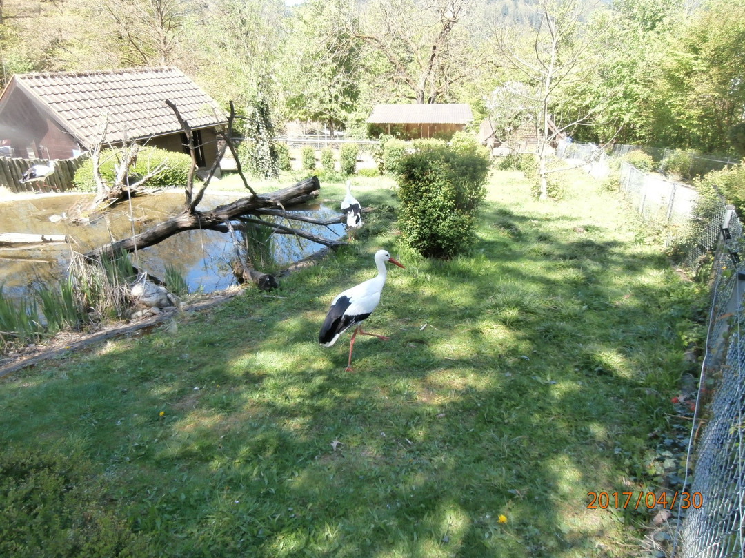 Schwarzwaldzoo Waldkirch景点图片