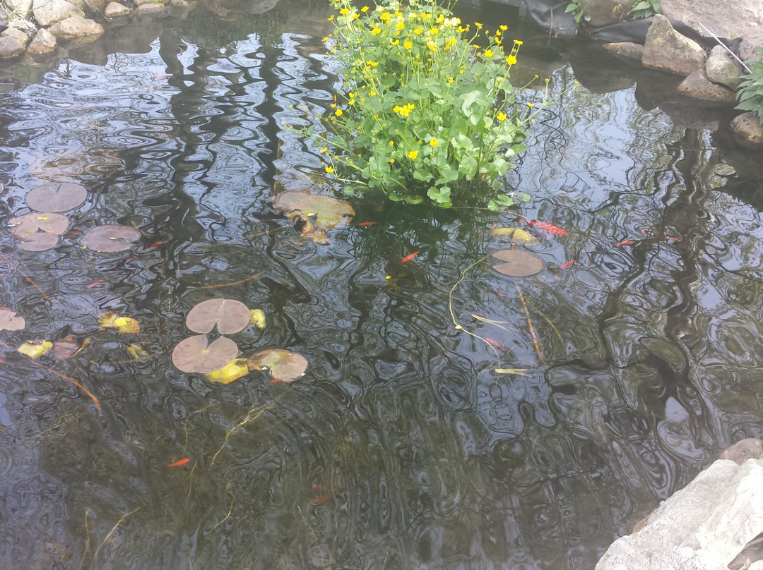 Willowbrook Wildlife Center-Glen Ellyn必去景点