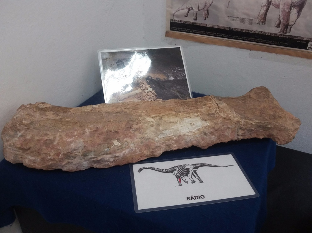 Paleontologia de Marilia Museum景点图片