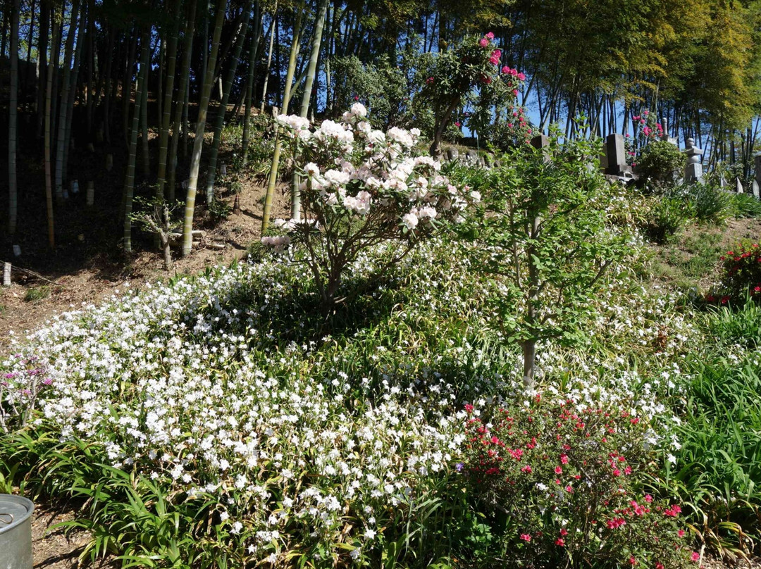 Shakuzen-ji Temple-岚山町必去景点