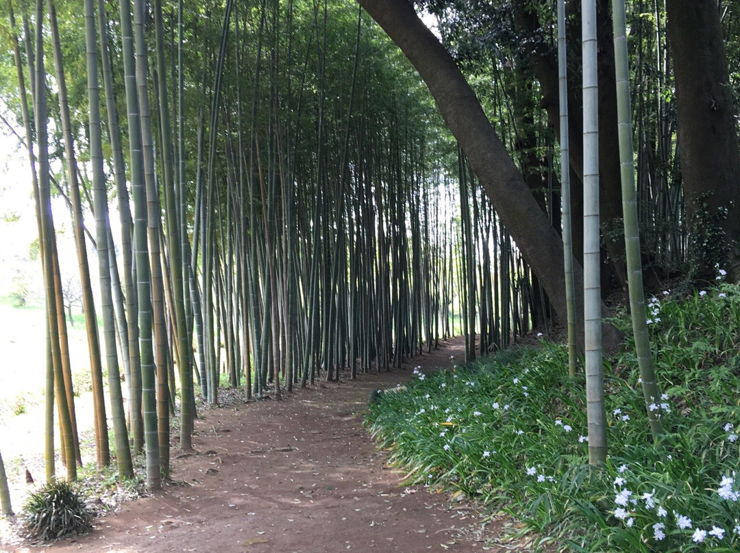 House of Sakano Family at Mitsukaido Climate Museum-常总市必去景点