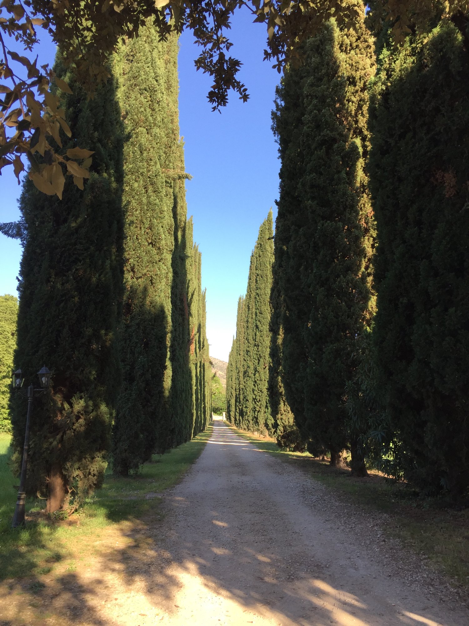 Casale Colleoni-浴室