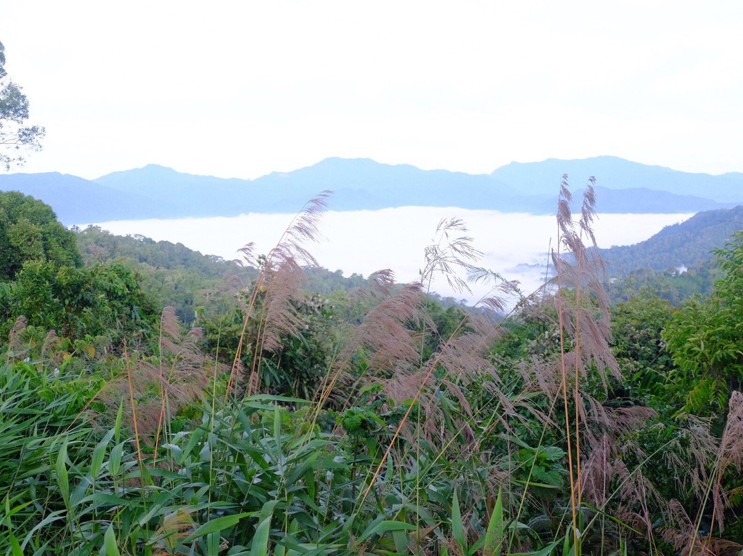 Pa Noen Tung Mountain景点图片