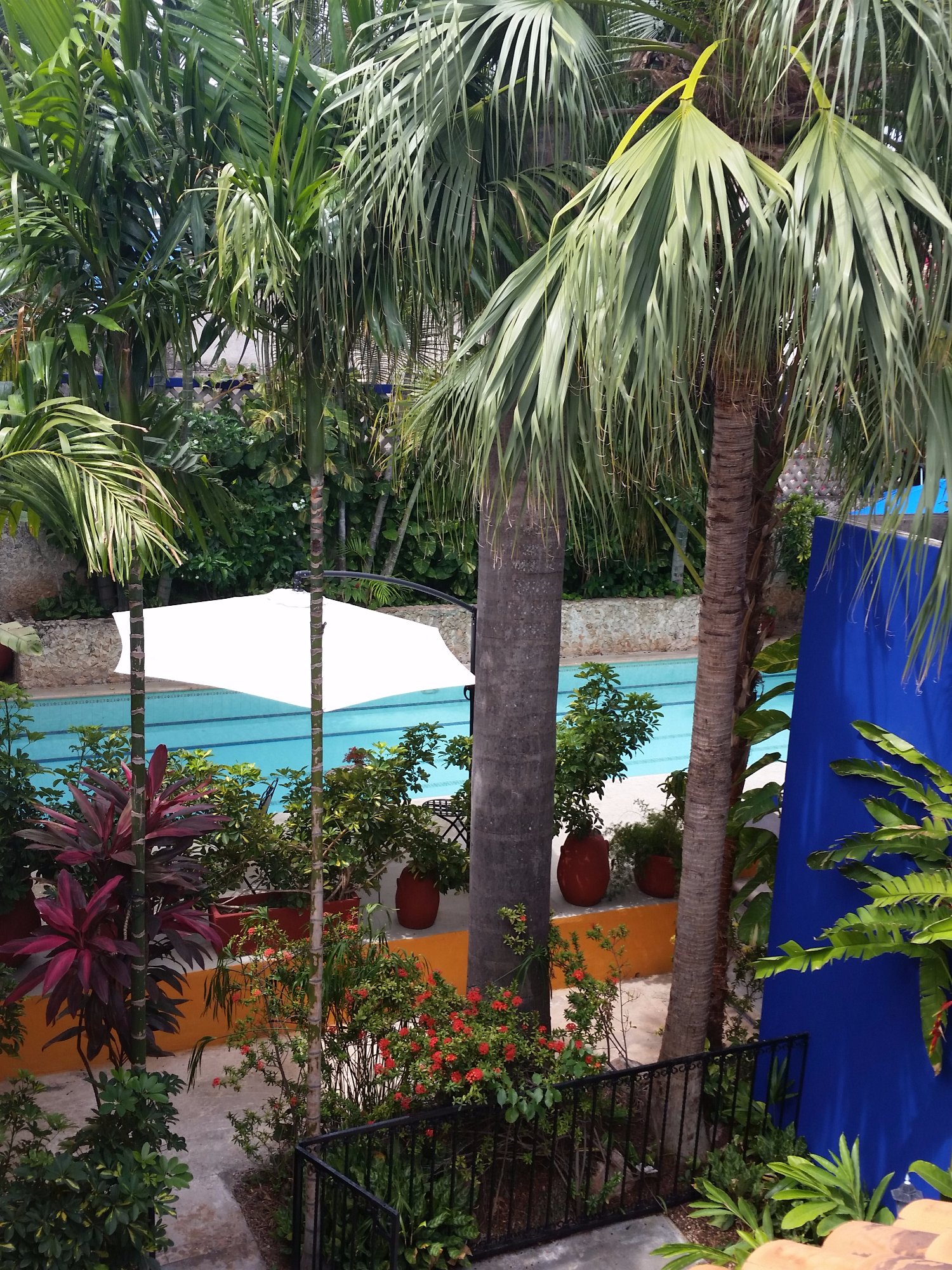 Casa Tres Colibries-泳池