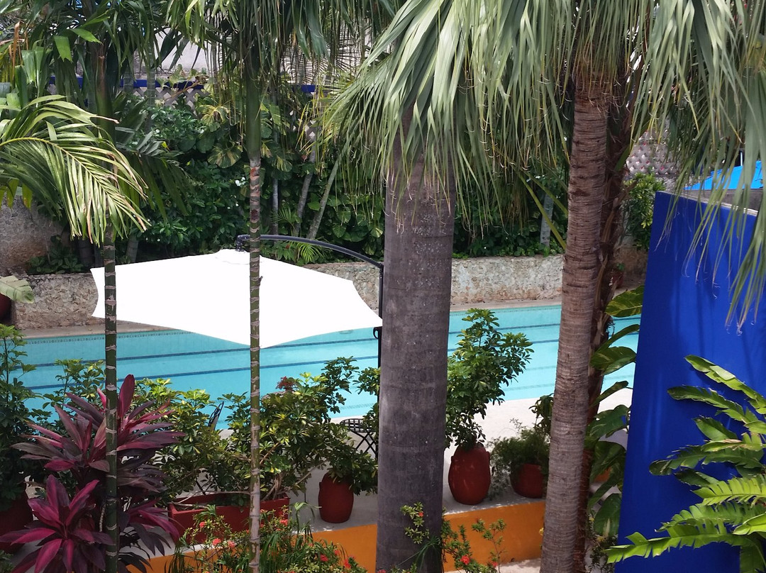 Teya酒店住宿-Casa Tres Colibries