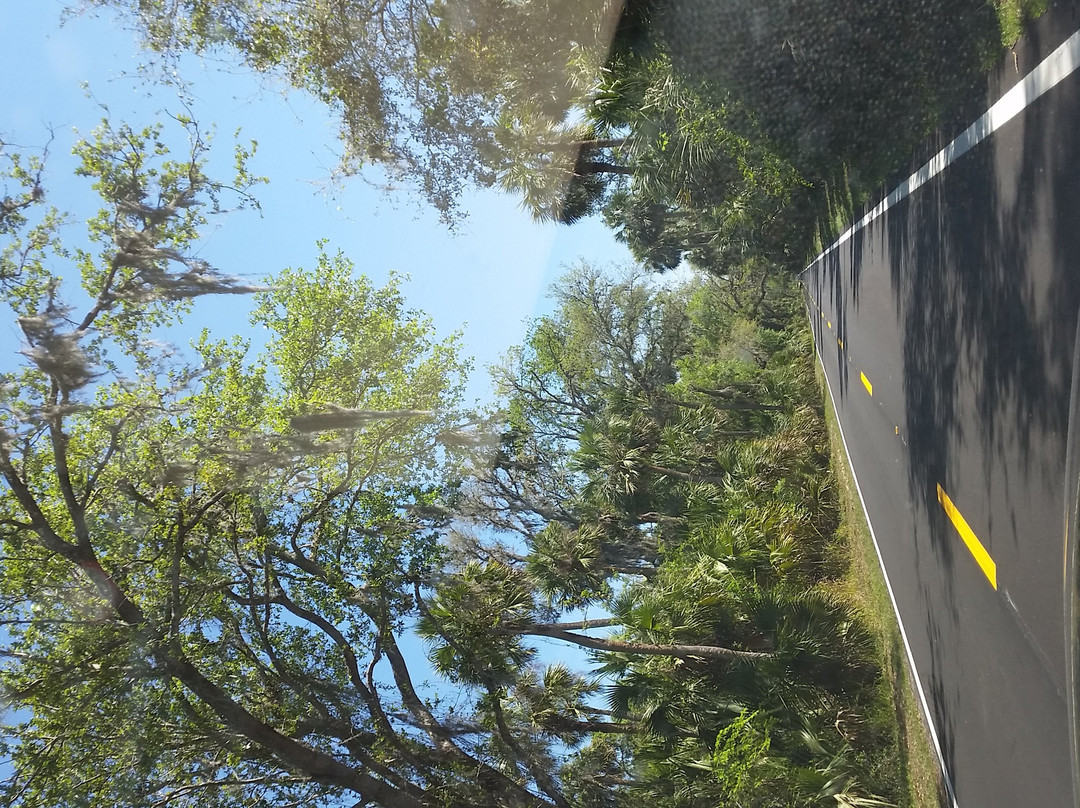 Ormond Scenic Loop & Trail-奥蒙德海滩必去景点