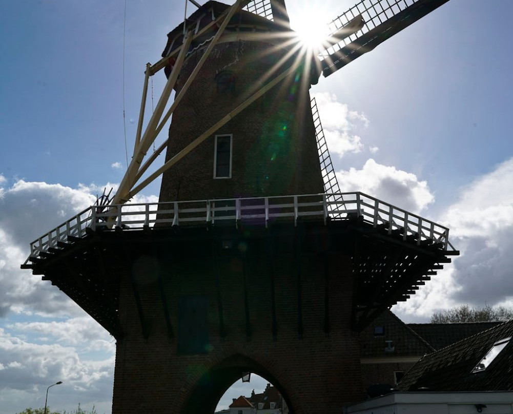 Rijn en Lek Windmill-Wijk bij Duurstede必去景点