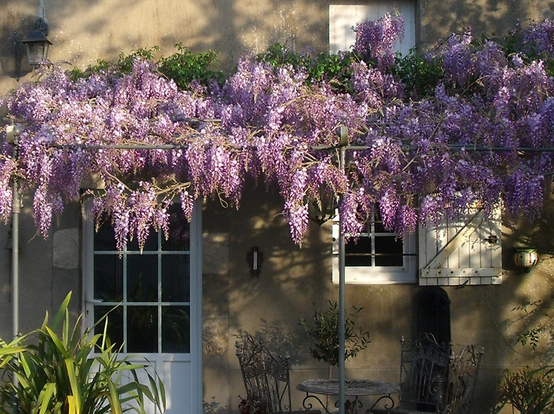 Domaine de la Bardinière主图