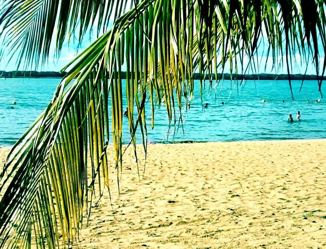 Panorama Municipal Beach Resort景点图片
