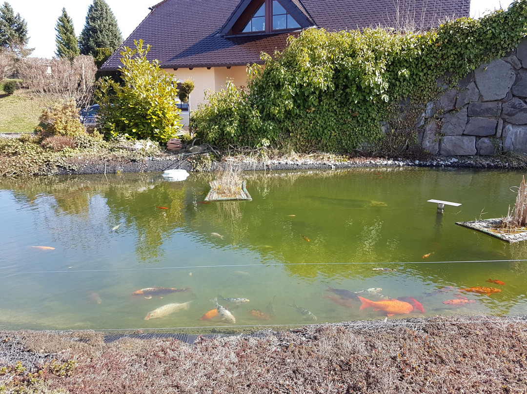 Hotel Seehof Doellnitzsee主图
