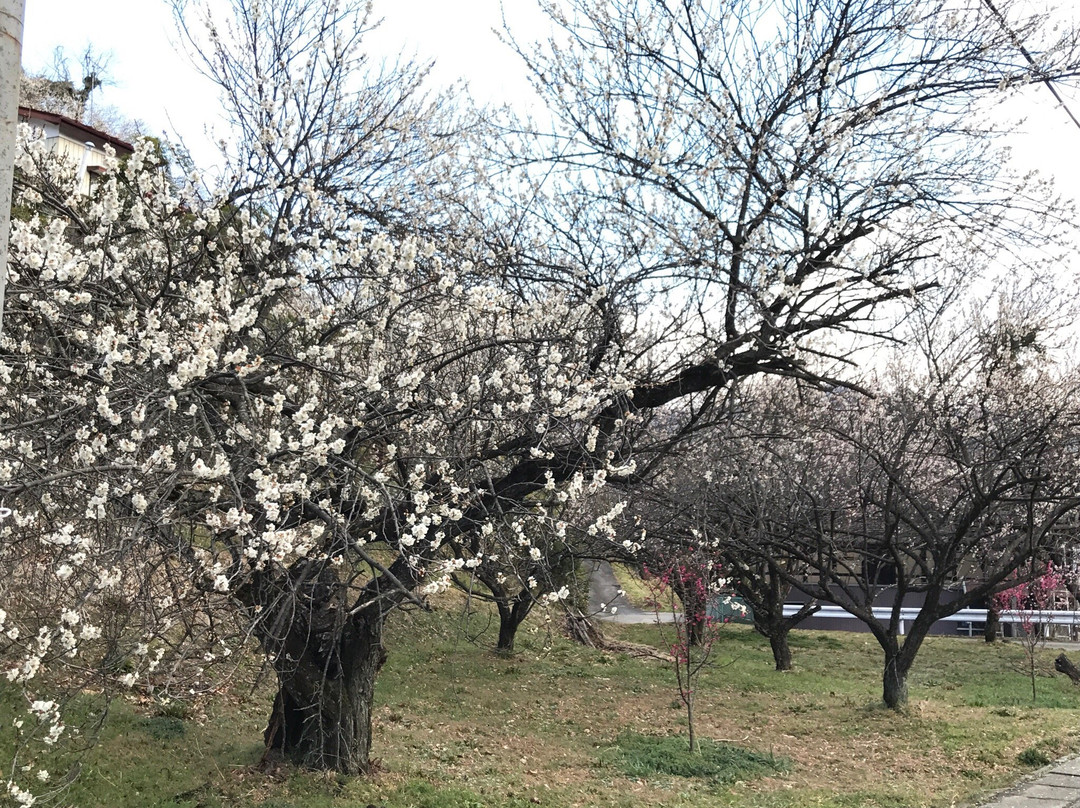 Akima Bairin-安中市必去景点