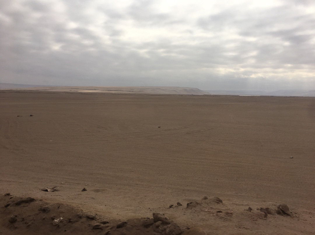 Estacion de Ferrocarril Arica La Paz-阿里卡必去景点