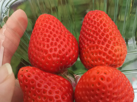 Kichijien-熊本市必去景点