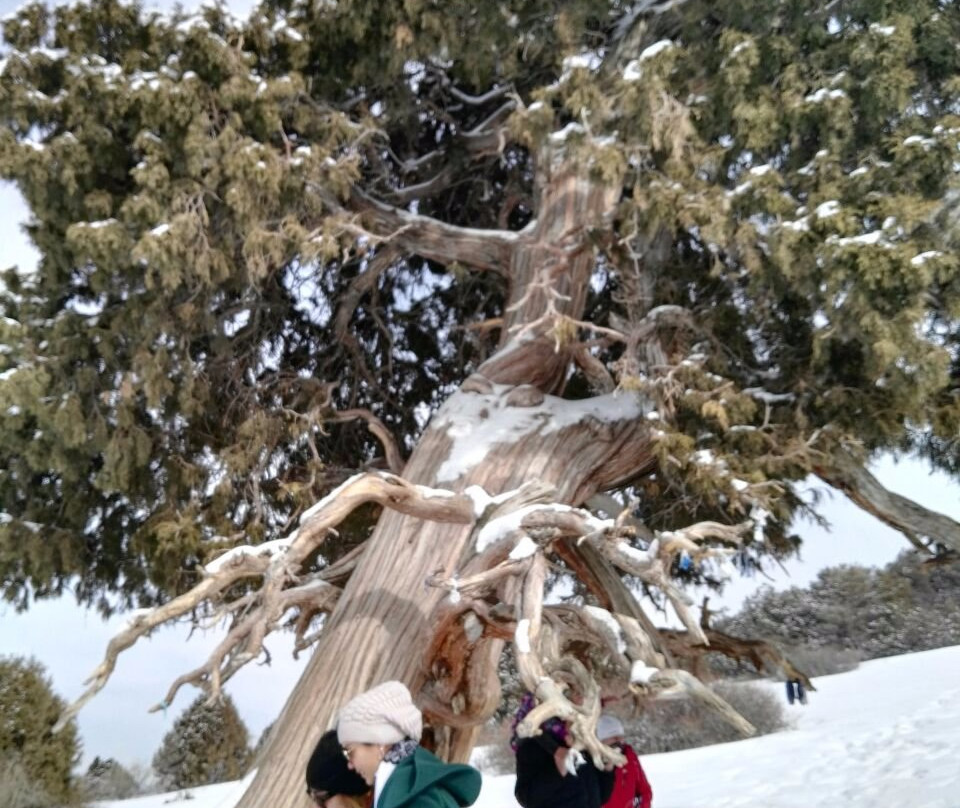 Zaamin National Park-Jizzakh Province必去景点