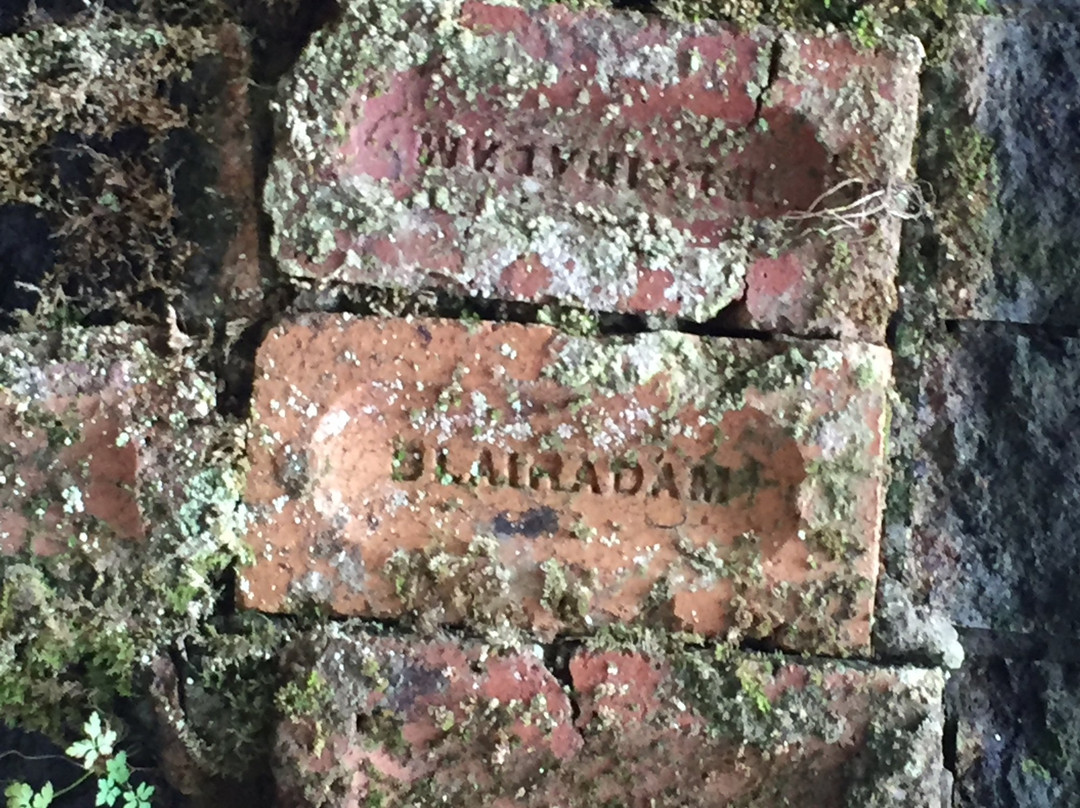 Blairadam Forest-Kelty必去景点