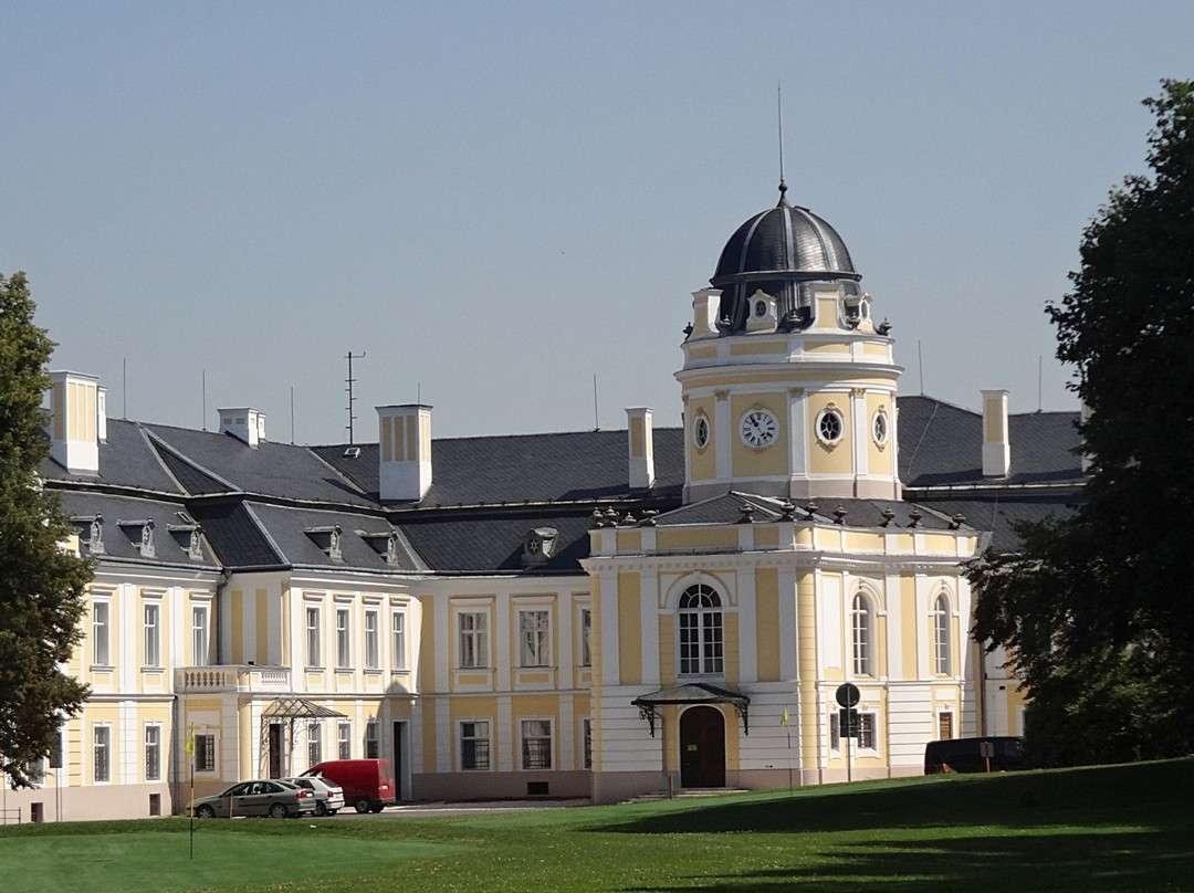 Castle Silherovice景点图片